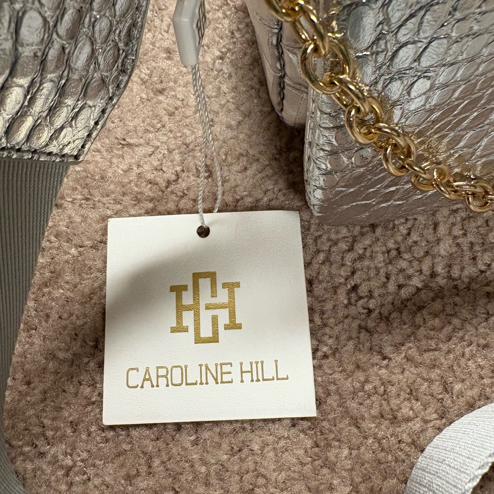 Caroline Hill Dakota Platinum Crossbody ntw - Picture 7 of 7